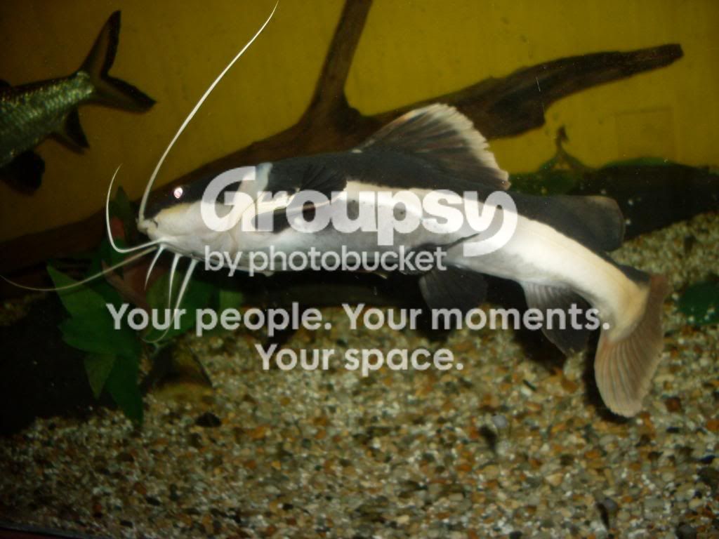 SDC10778.jpg