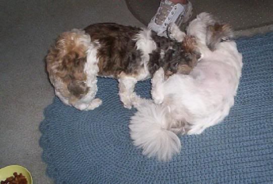 100_0406.jpg