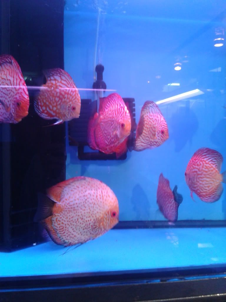 2012-03-25103920.jpg