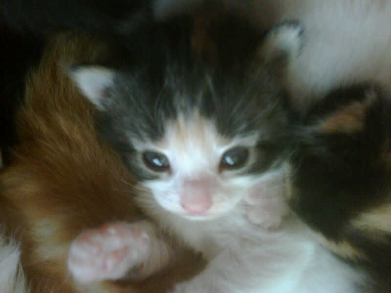 IMG00037-20100512-1020.jpg