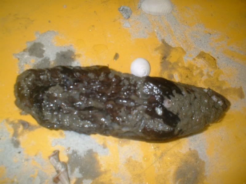DSCF0009.jpg
