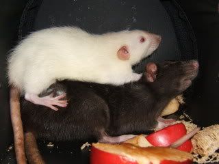 DSCF2849.jpg