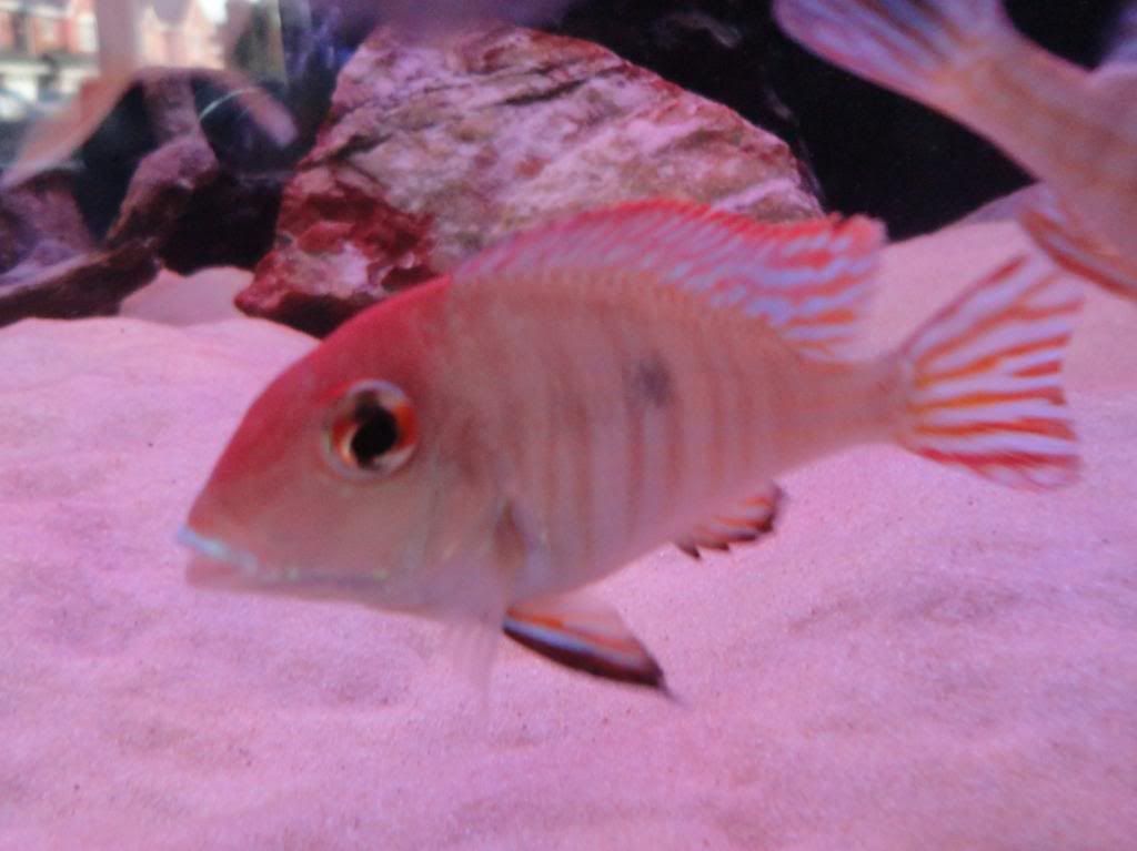 DSC01264.jpg