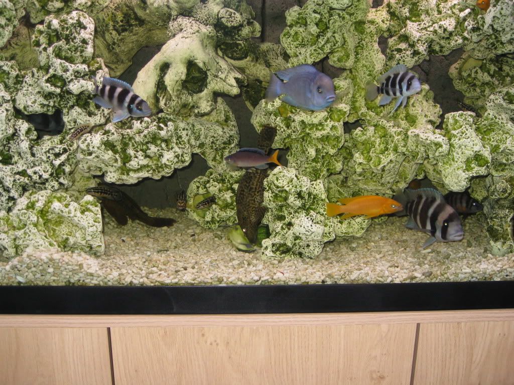 IMG_2506.jpg