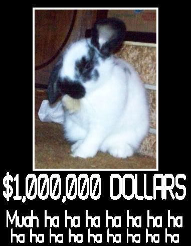 drbunny.jpg