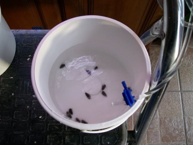 Picture016.jpg