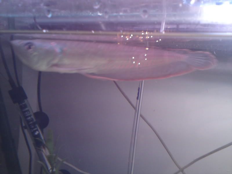 DSC00111.jpg