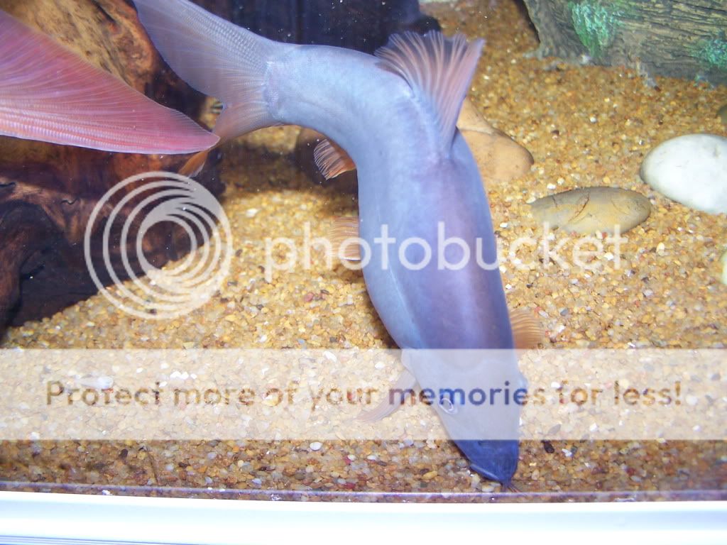 100_6053.jpg