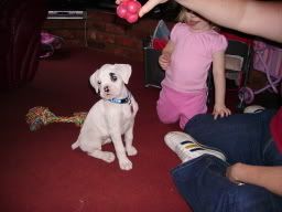Picture068.jpg