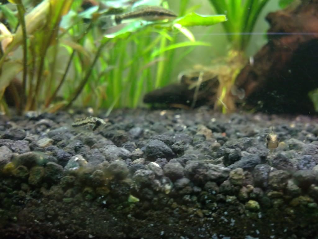 14112011206.jpg
