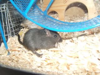 DSCF1379.jpg