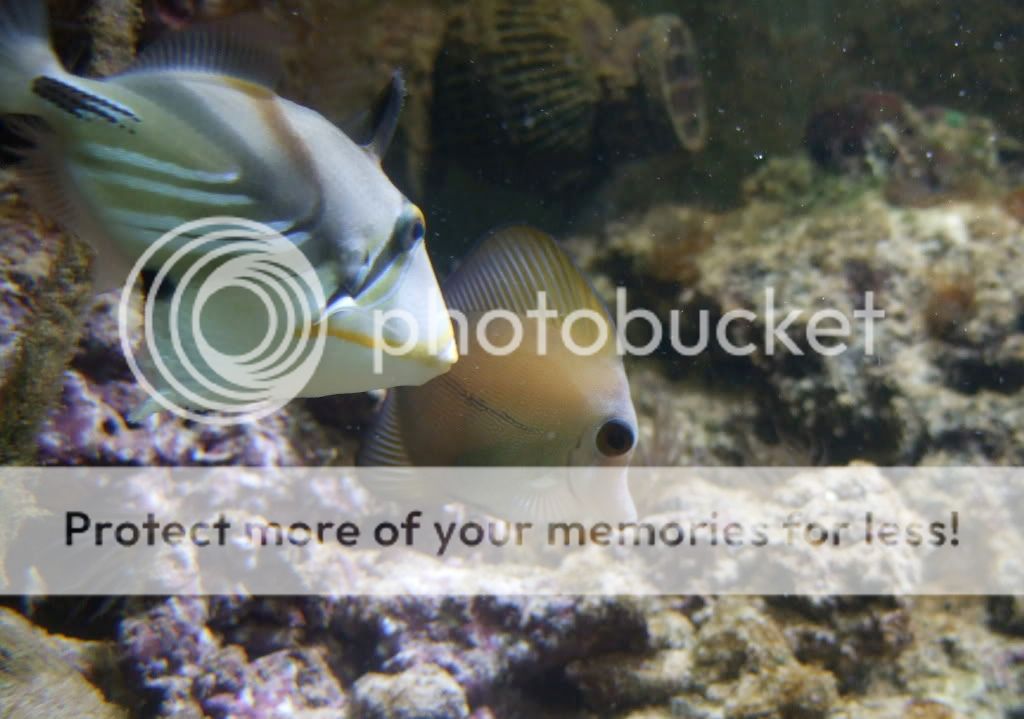 DSCF7603.jpg