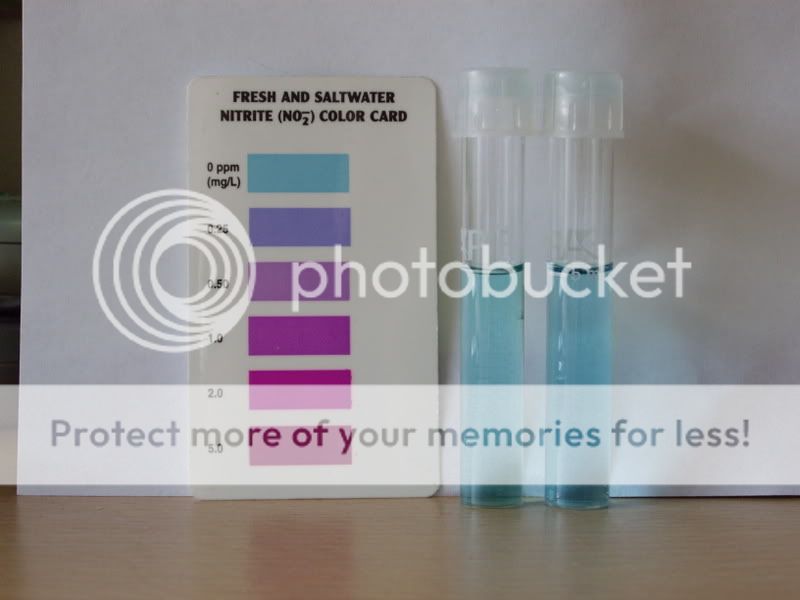nitrite.jpg