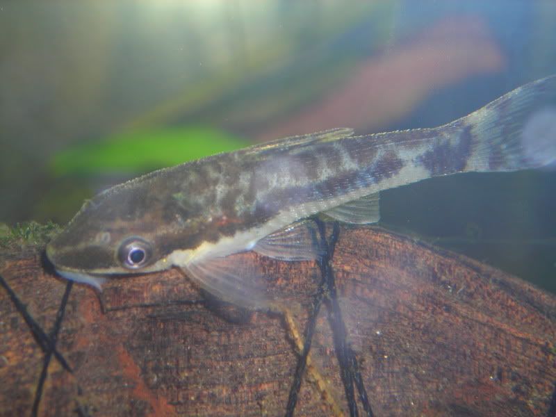 DSCN2095.jpg