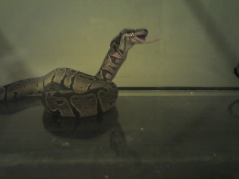 Picture0162.jpg