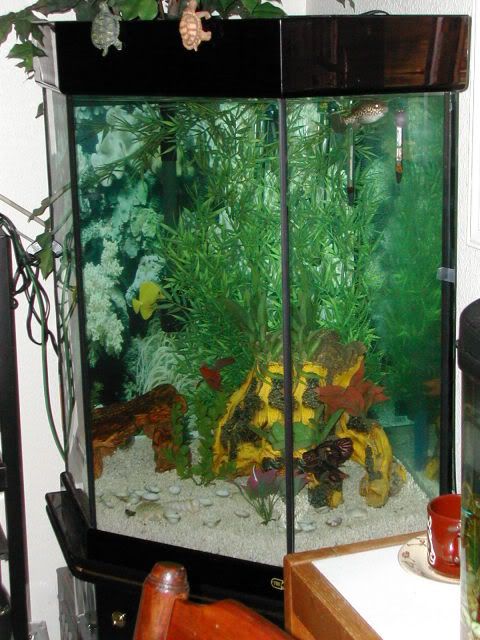 DSCN2498.jpg