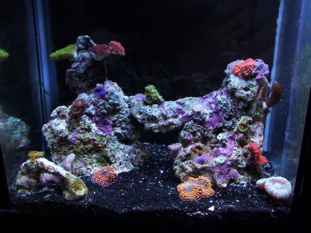 DSC01118.jpg