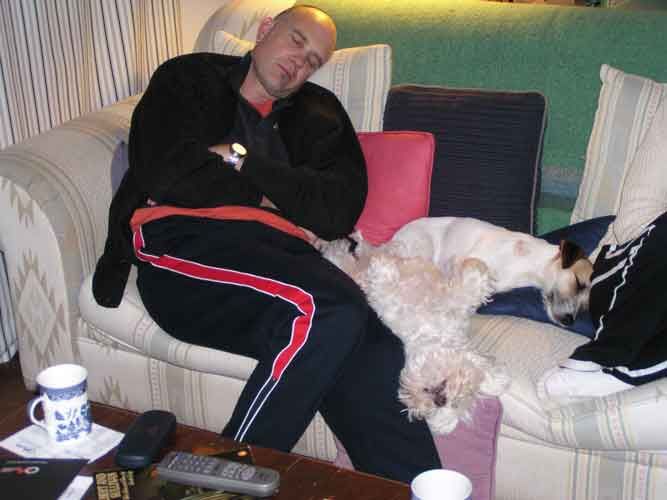 dadanddogsweb.jpg