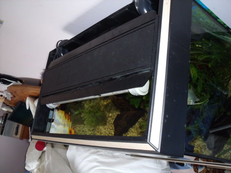 DSCF1891.jpg