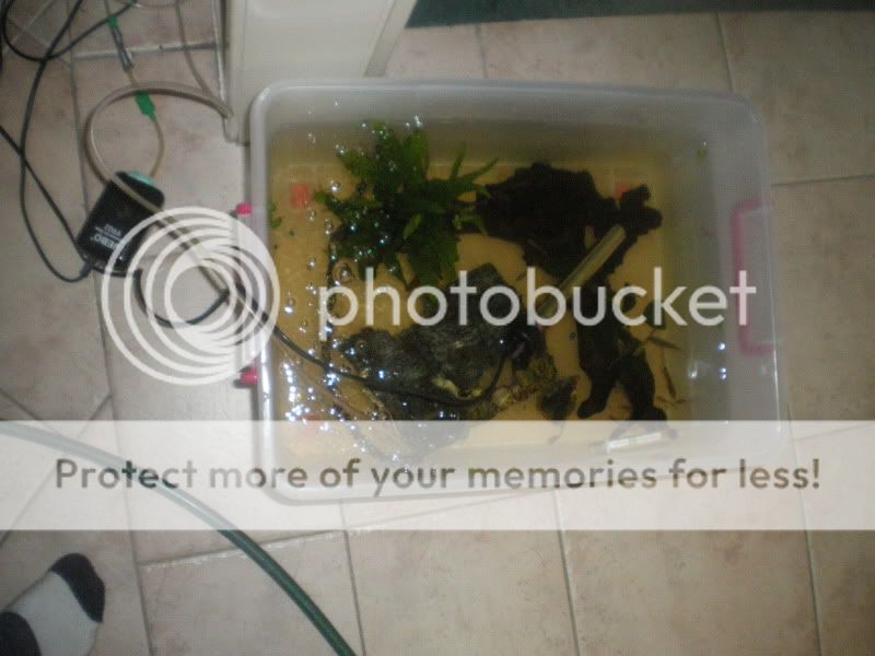 IMGP1838.jpg