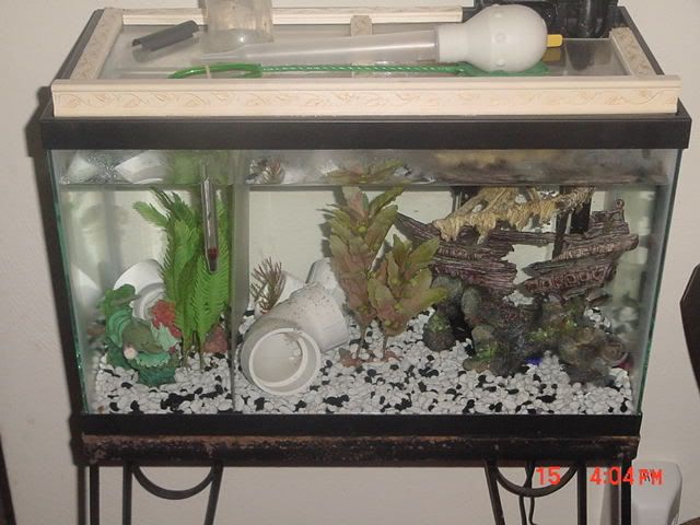 DSC00296.jpg
