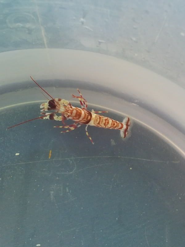 20120403_185447.jpg