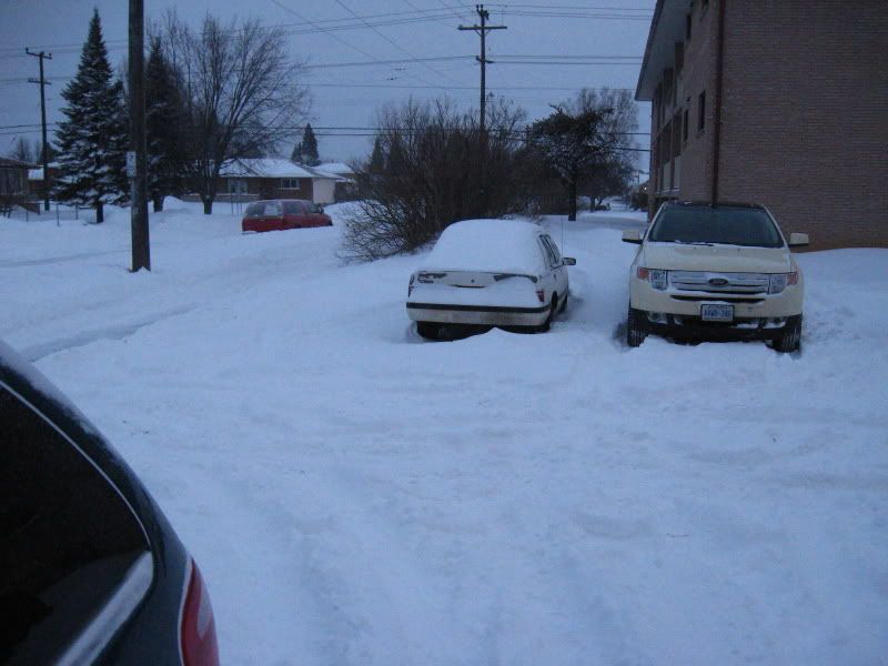 Picture059.jpg
