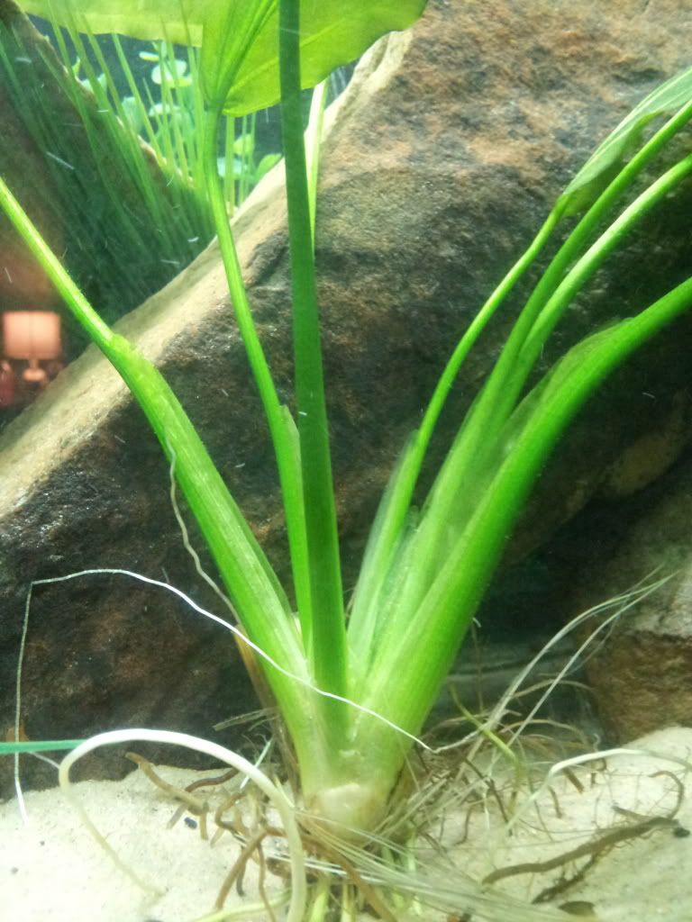 20120924_000442_zps64ba3ce3.jpg