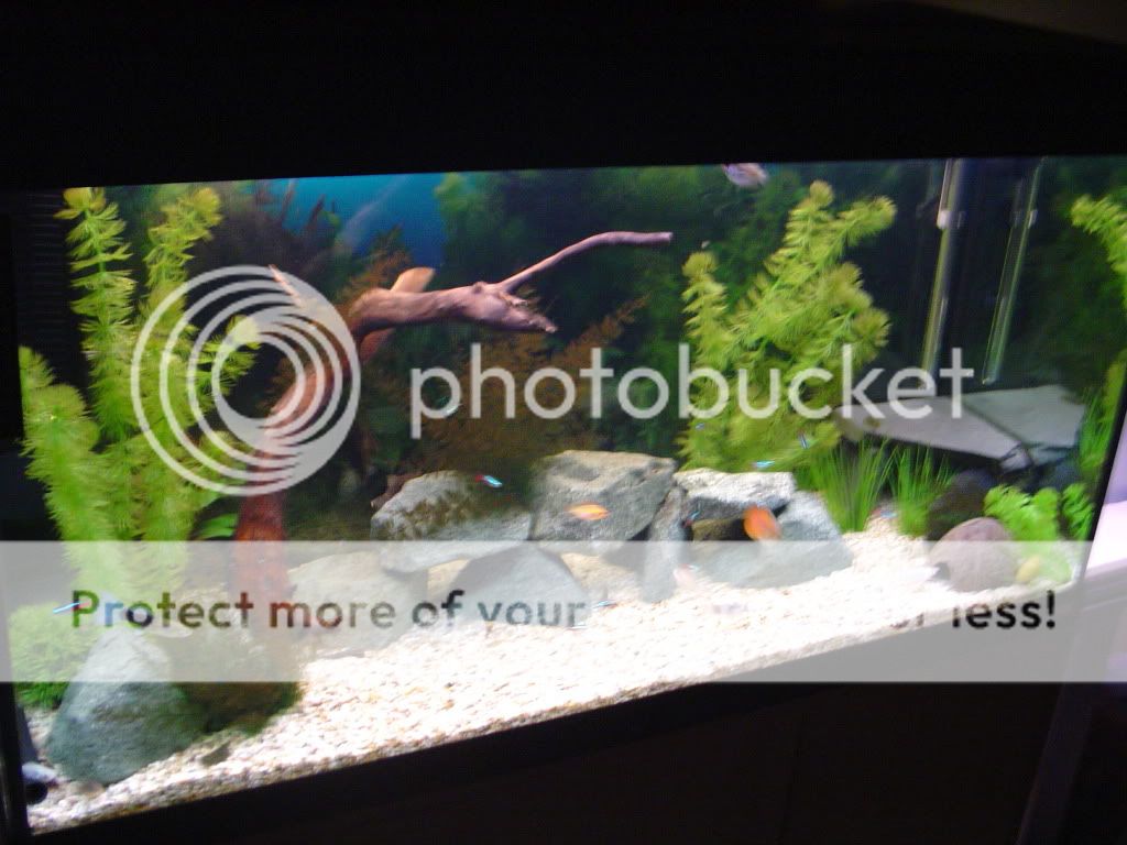 DSC01041.jpg