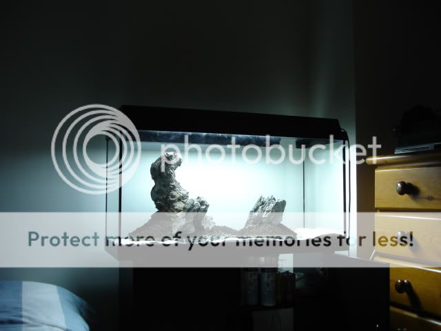 DSC03586.jpg