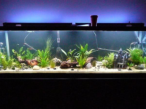 5-6-8.jpg