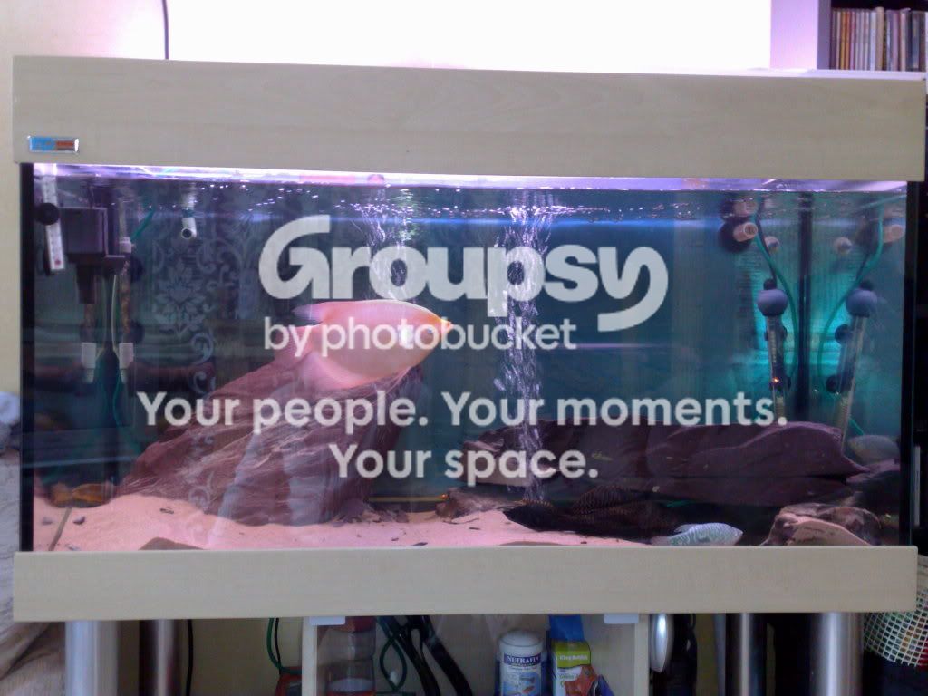 31032009104.jpg