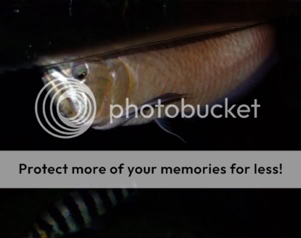 DSCF8866.jpg