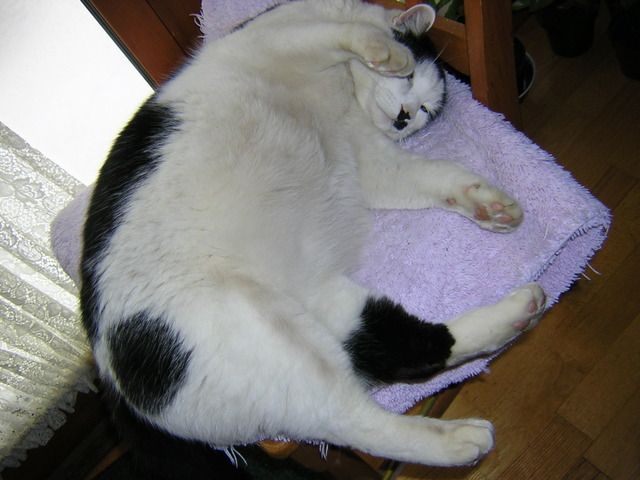 DSCN2634.jpg