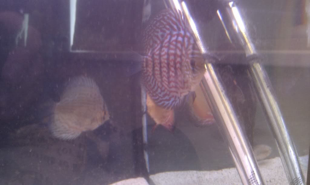 IMAG0360.jpg