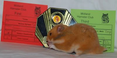 TangoPrizes.jpg