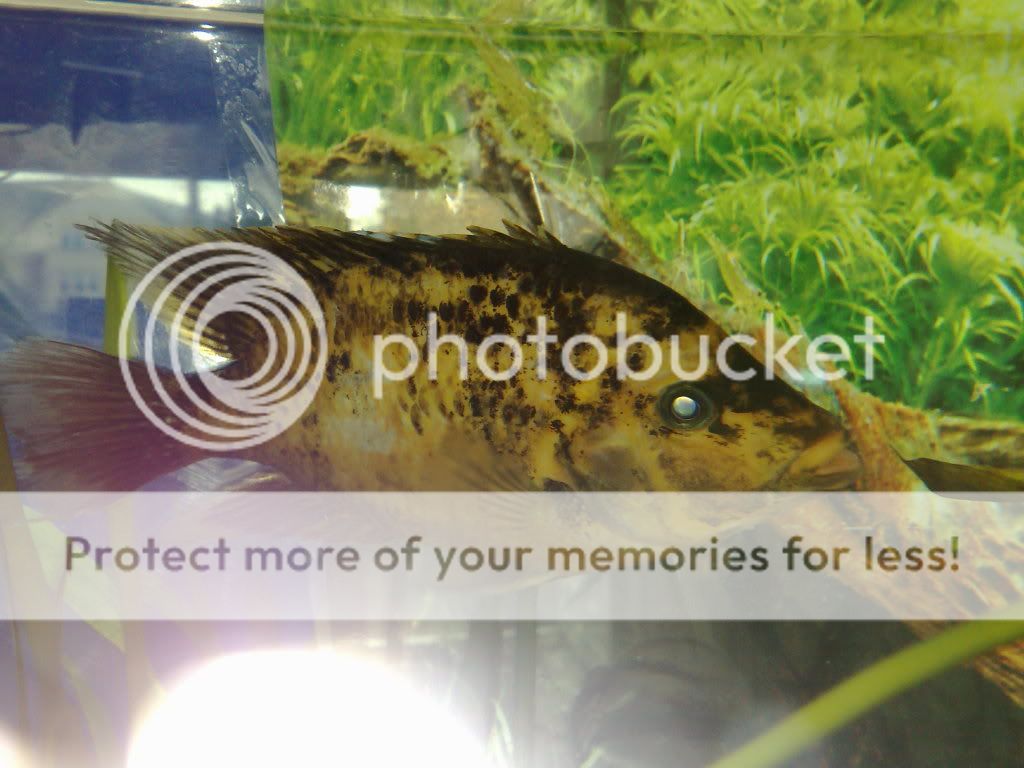26062009451.jpg