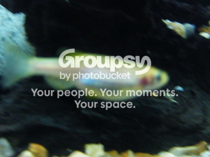 DSCF4084.jpg