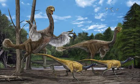 Gigantoraptorerlianensis.jpg