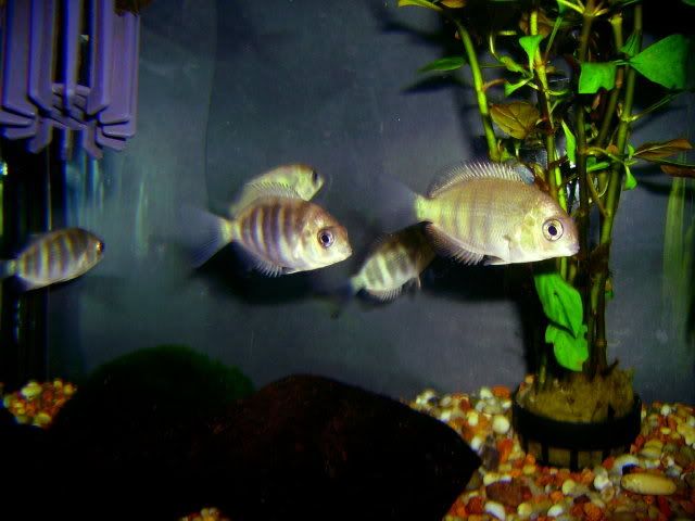 march2008101.jpg