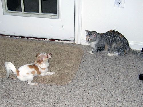 DSCN4829.jpg