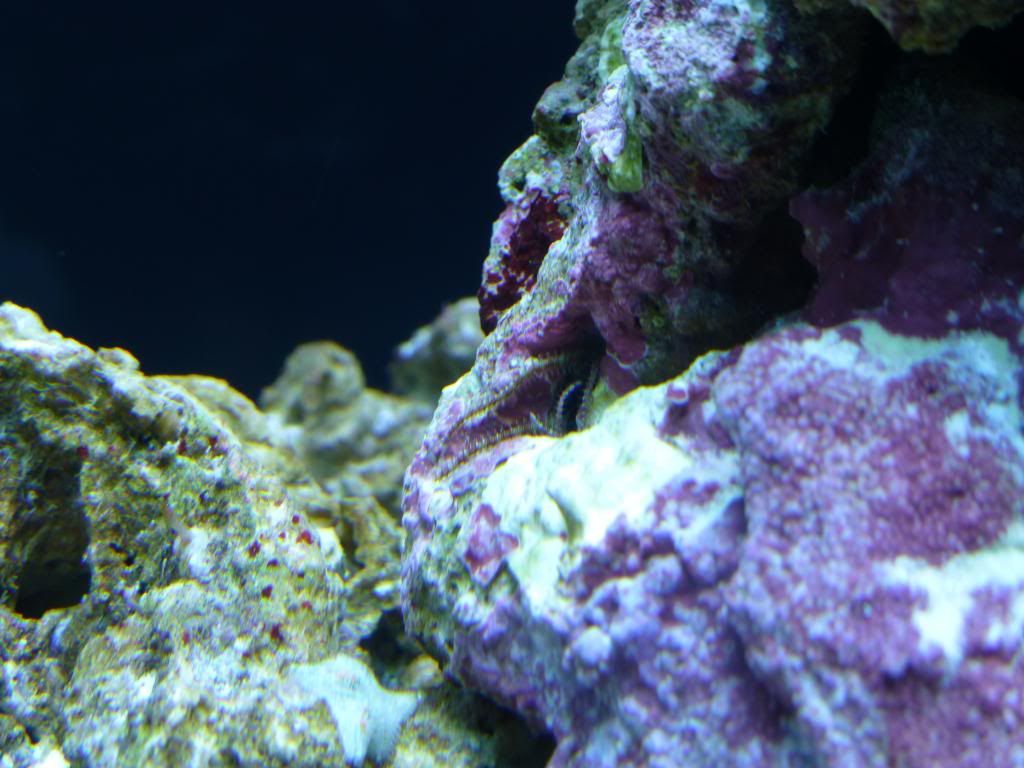 P1000105.jpg