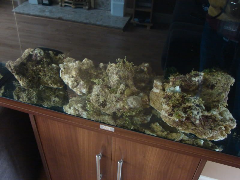 DSC00074.jpg