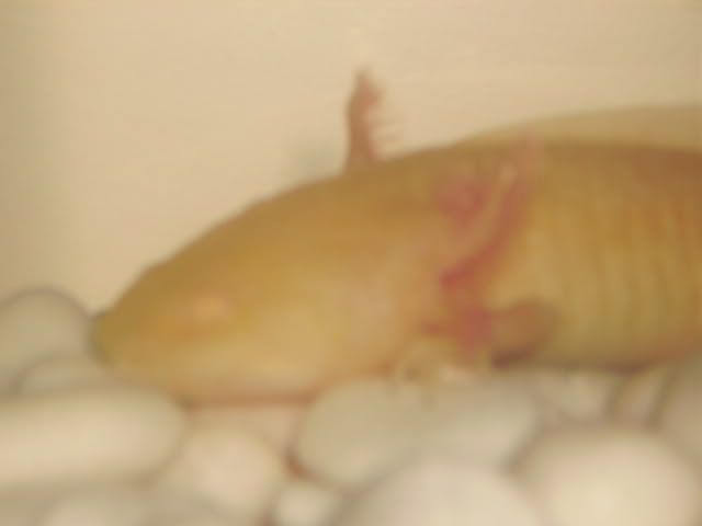 Picture009.jpg