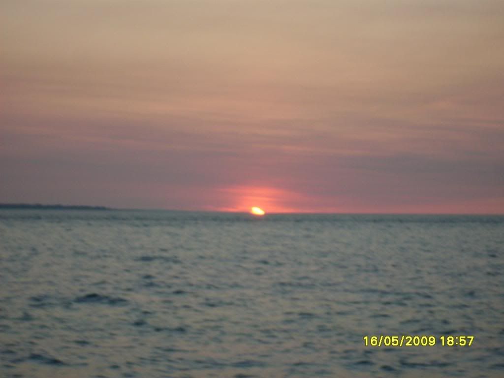 darwin026.jpg
