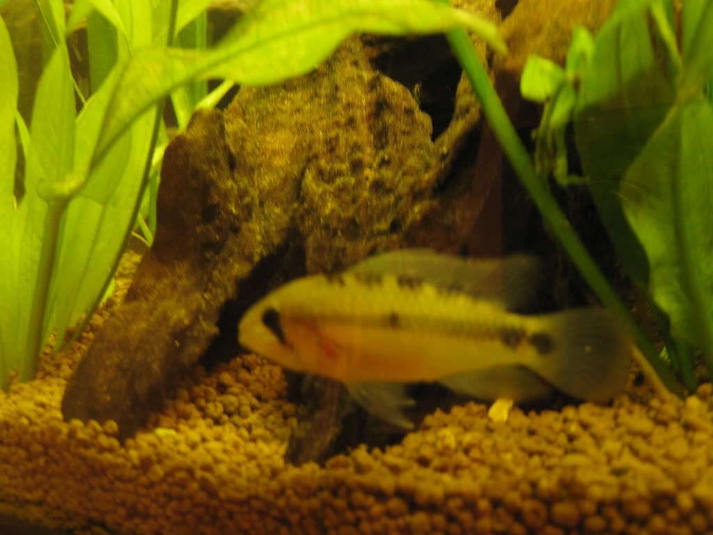 IMG_1002.jpg