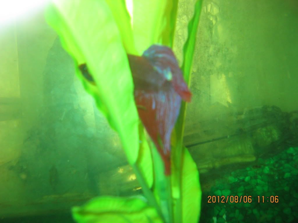 IMG_5318.jpg