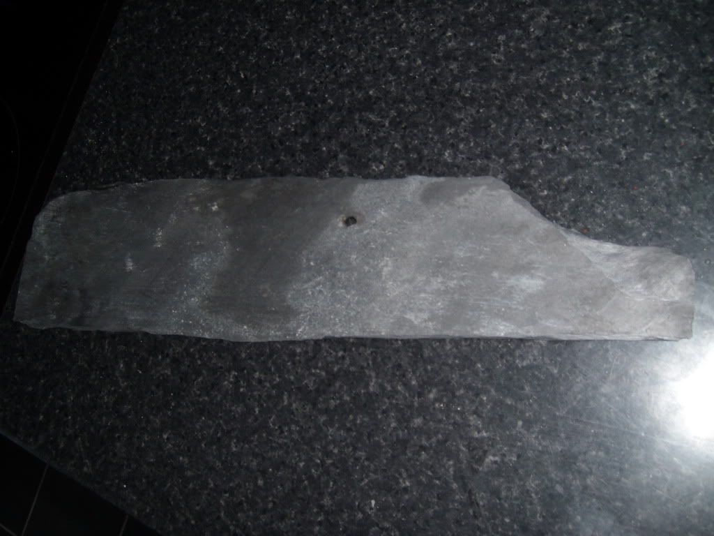 SL730165.jpg