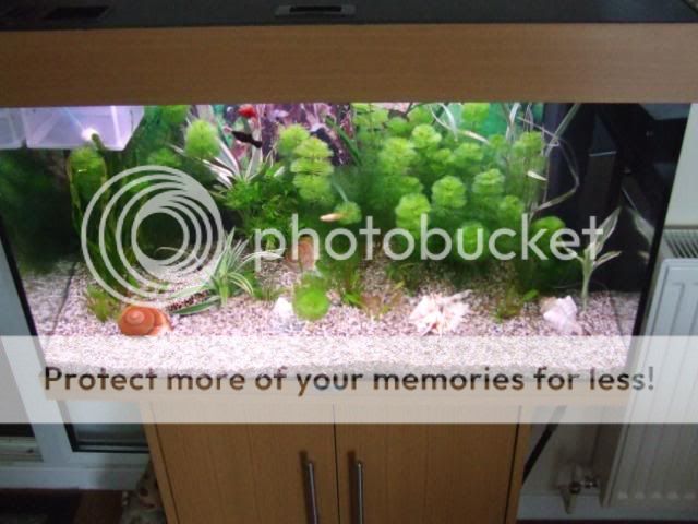 DSCF2409.jpg