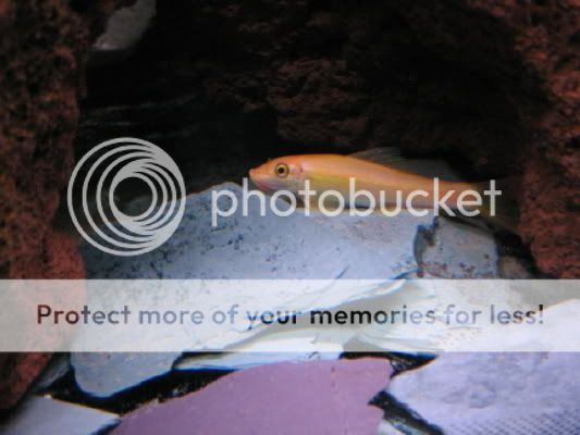 IMG_0395.jpg